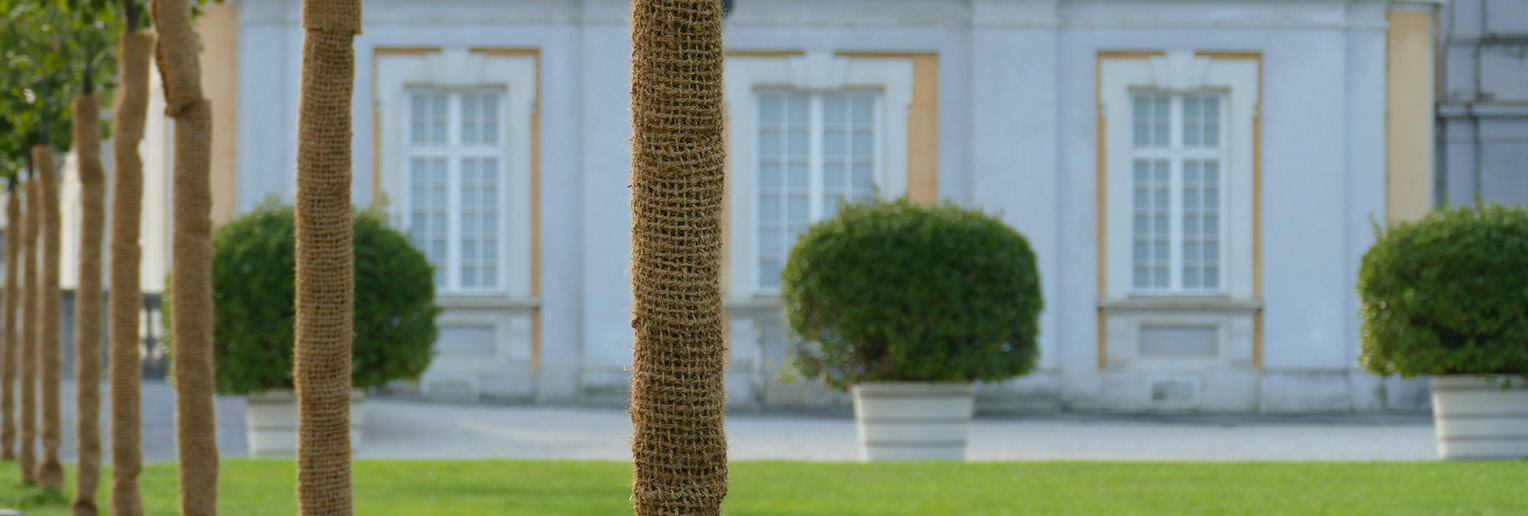 freundeskreis-bruehler-schloesser-und-gaerten-website-veranstaltung-aktionstag-2025-klimawandel-start